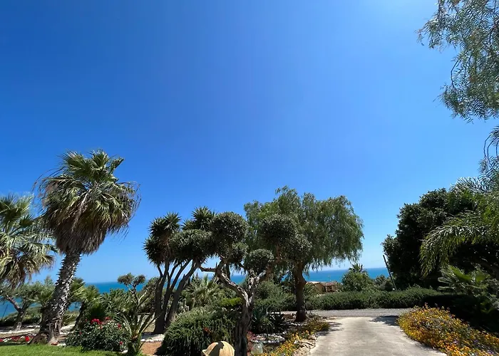 Sovareto * Шакка